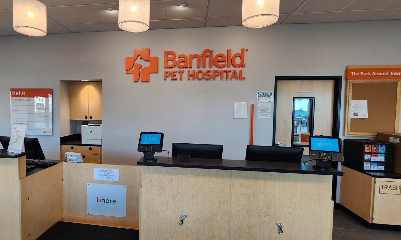 Front desks and front lobby