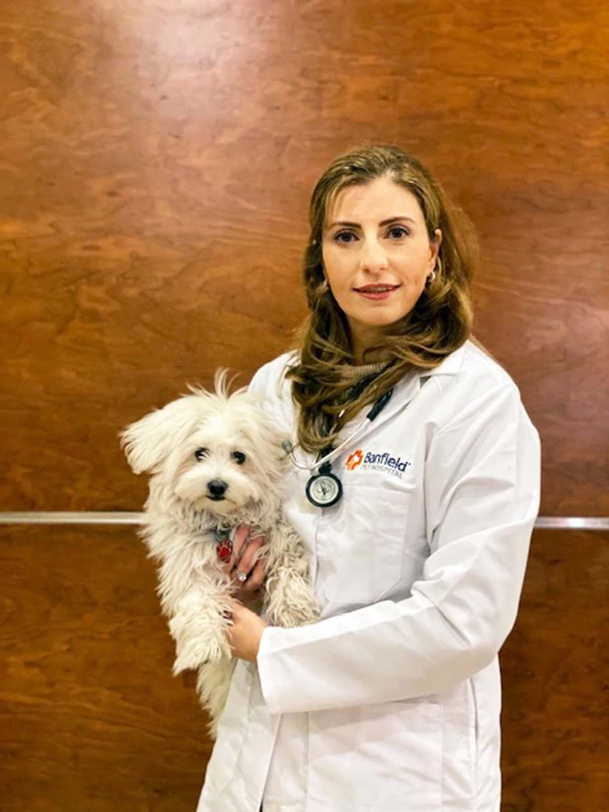 A young female veterinarian holding a dog at the Banfield Pet Hospital