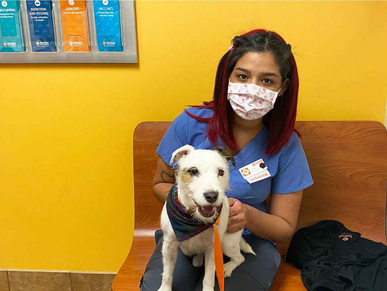 A female associate holding a dog at the Banfield Pet Hospital