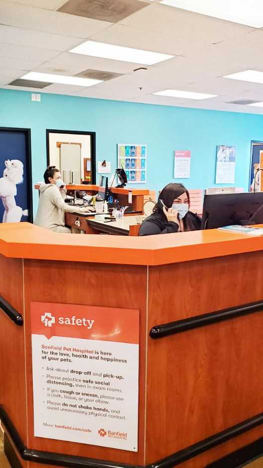 The front desk of the Banfield Pet Hospital