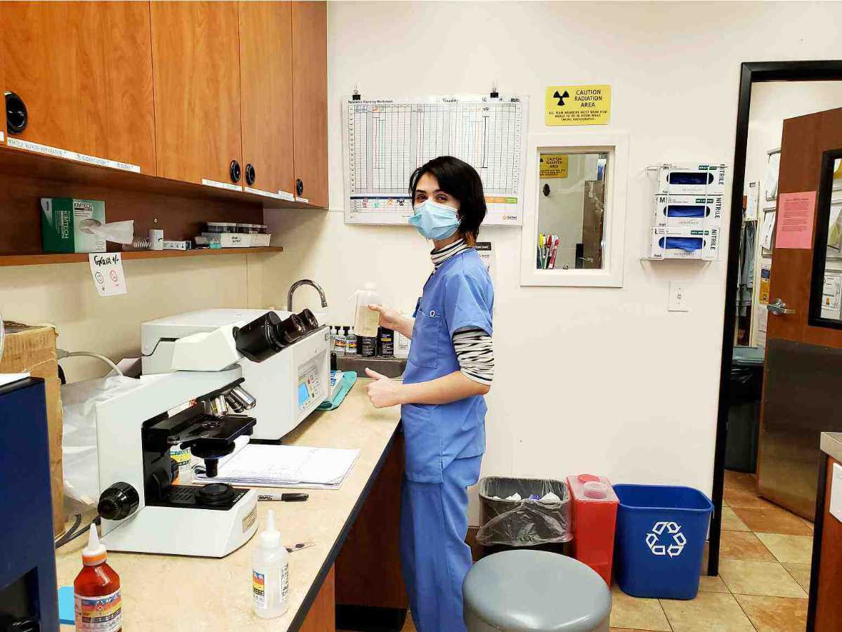 A female associate holding a vessel in a testing lab at the Banfield Pet Hospital