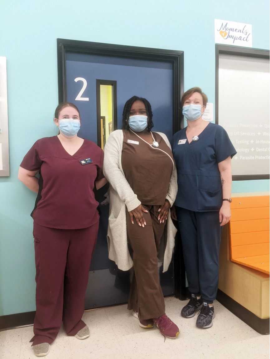 3 Banfield Associates at Columbia Spring Valley, SC