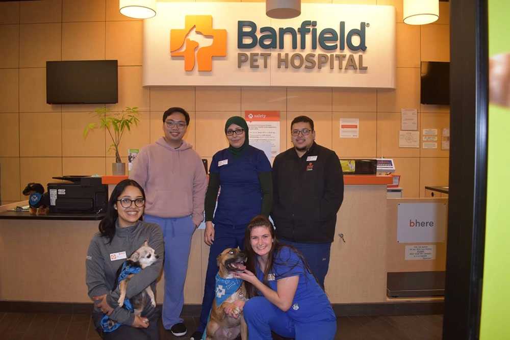 A group of associates at the Banfield Pet Hospital