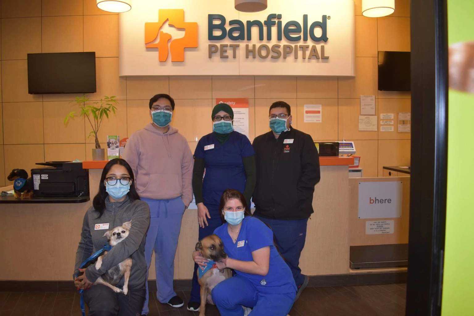 A group of associates at the Banfield Pet Hospital