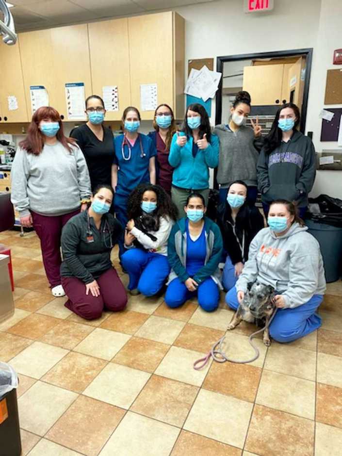 A group of associates at the Banfield Pet Hospital