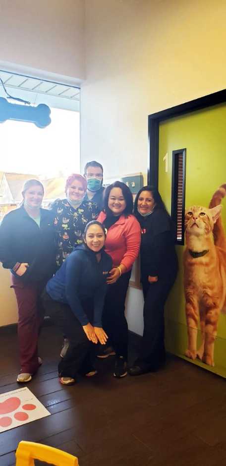 A group of associates at the Banfield Pet Hospital