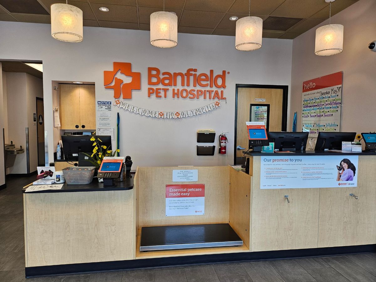 The lobby at Banfield Olympia
